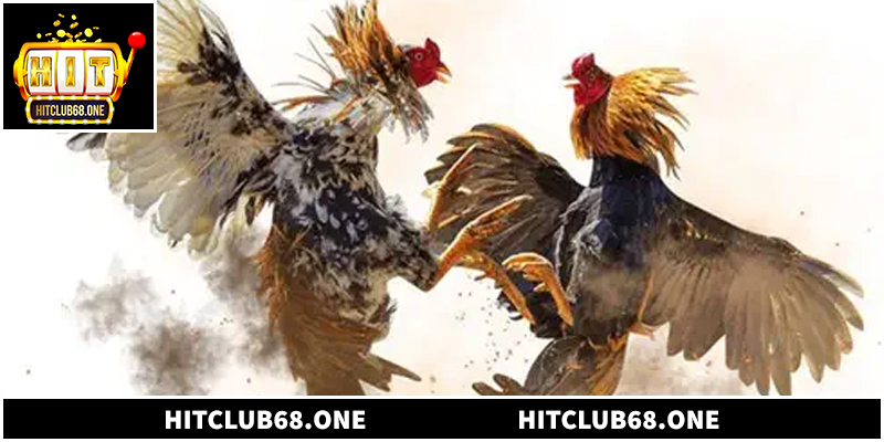 Xem trực tuyến tiết kiệm chi phí và đảm bảo an toàn pháp lý